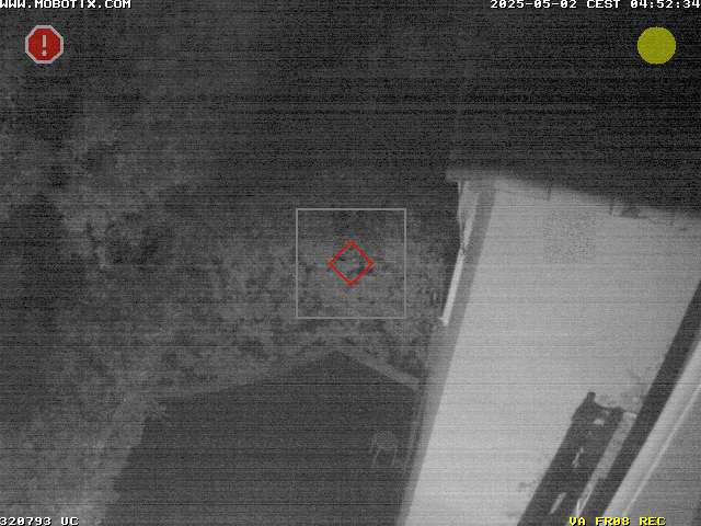 Camera Live Image